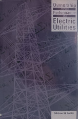 Ownership and Performance in Electric Utilities