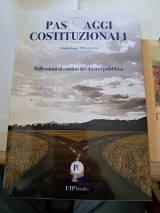 Passaggi Costituzionali 3. Riflessioni ai confini del diritto pubblico.