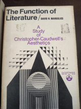 The function of literature