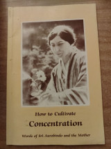 How to Cultivate Concentration
