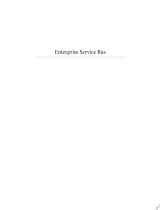 Enterprise Service Bus