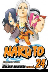 Naruto, Vol. 24 v. 24