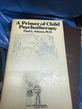 A primer of child psychotherapy