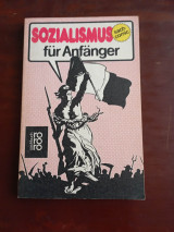 Sozialismus für Anfänger: (Sach-Comic)