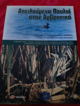 Απειλούμενα πουλιά στον Αμβρακικό
