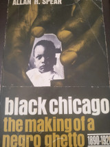 Black Chicago