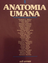 Anatomia umana