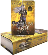 Kingdom of ash (miniature character collection)
