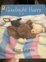 Goodnight Harry