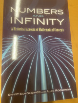 Numbers and Infinity - A historical account of mathematical concepts