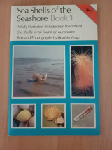 Sea shells of the seashore (book 1)