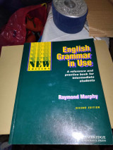 English grammar in use