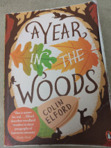 A year in the woods