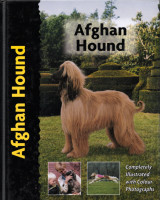 Afghan Hound (Αφγανικός Ιχνηλάτης)