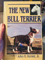 The new bull terrier