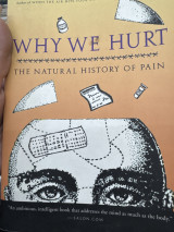 Why We Hurt