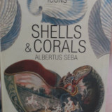 Βιβλίο Shells & Corals του Albertus Seba, έκδοση Taschen
