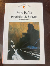 Description of a struggle and other stories