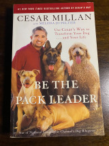 Be the pack leader