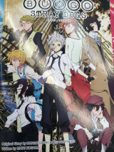 Anime bungo stray dogs
