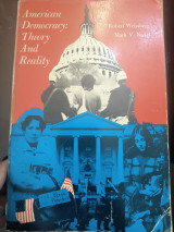 American Democracy: Theory and Reality