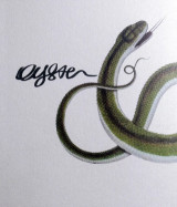 Oyster