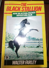 The Black Stallion