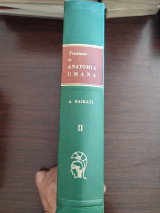 Trattato di Anatomia Umana II