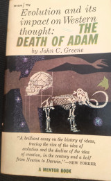 The death of Adam