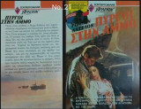 Αρλεκιν Σουπερρομανς Πύργοι στην άμμο Νο.21