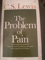 The problem of pain