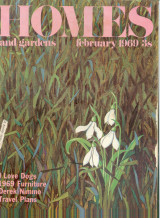 Homes and Gardens Feb 1969