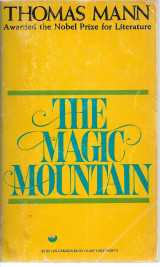 The Magic Mountain