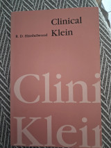 Clinical Klein