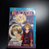 Black cat vol.7