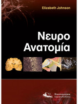 Νευροανατομία