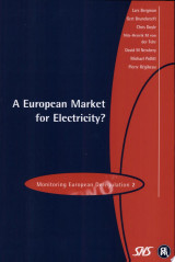 A European Market for Electricity?
