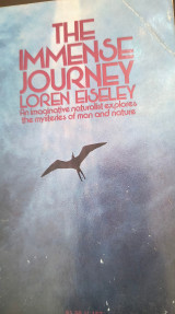 The immense journey