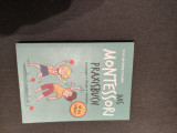 Das Montessori-Praxisbuch