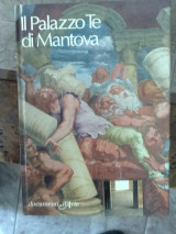 Il palazzo te di mantova 1980