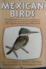 Mexican Birds