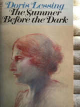 The Summer before the Dark