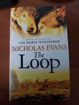 The Loop