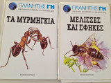 Μελισσες και σφηκες