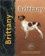 Brittany Spaniel (Σπάνιελ Μπρετόν)