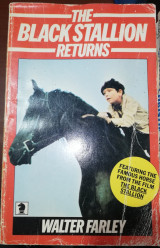 The Black Stallion Returns
