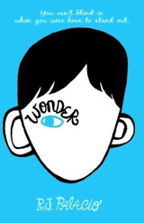 The Wonder