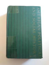 American political and social history