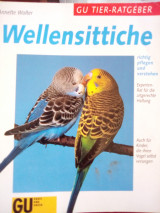 Wellensittiche