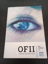 Ofii Rapport D Activite 2020